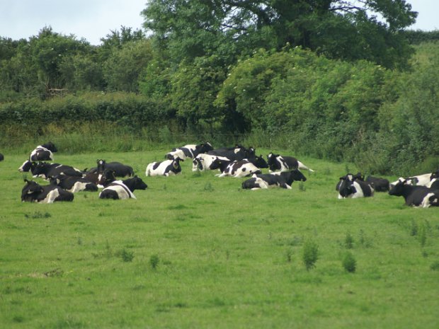 Northern Ireland