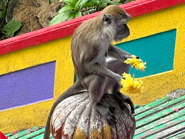 Malaysia